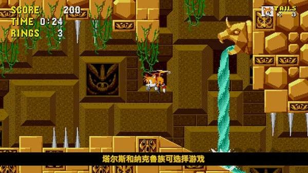 刺猬索尼克无敌版下载,刺猬索尼克,酷跑游戏,像素游戏,休闲游戏